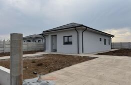 Casa parter, 120 mp utili, la cheie, 600 mp teren, Pielesti