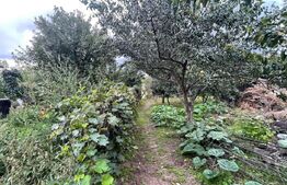 Casa si teren de 2368 mp , Zona Calea Bucuresti