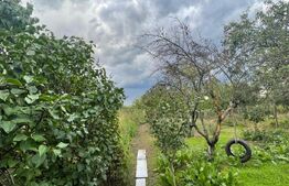 Casa de vânzare 4 camere Vest - 178037CV | BLITZ Craiova | Poza3