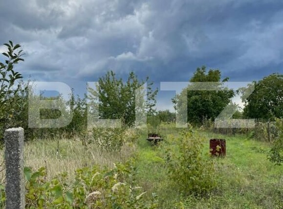 Casa de vânzare 4 camere Calea Bucuresti - 172844CV | BLITZ Craiova | Poza5