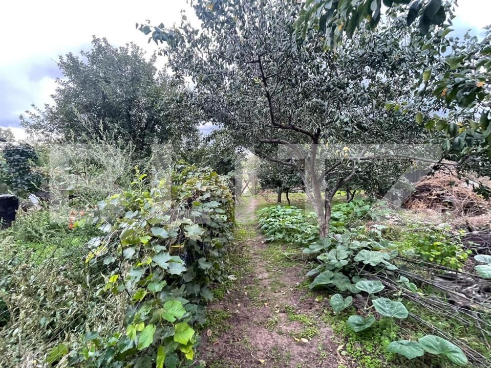 Casa de vânzare 4 camere Calea Bucuresti - 172844CV | BLITZ Craiova | Poza3