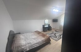 Casa cu 4 dormitoare, 160 mp, 700, mp curte, zona Selgros