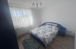 Casa cu 4 dormitoare, 160 mp, 700, mp curte, zona Selgros