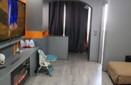 Garsoniera Brazda, 33mp, renovata recent