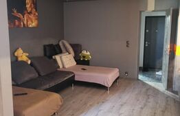 Garsoniera Brazda, 33mp, renovata recent