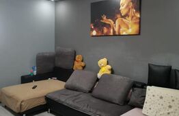 Garsoniera Brazda, 33mp, renovata recent