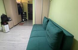 Camera de camin transformata in garsoniera 25mp ,et 1/4 in Valea Rosie