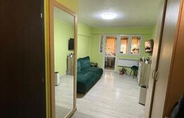 Camera de camin transformata in garsoniera 25mp ,et 1/4 in Valea Rosie