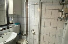 Camera de camin transformata in garsoniera 25mp ,et 1/4 in Valea Rosie