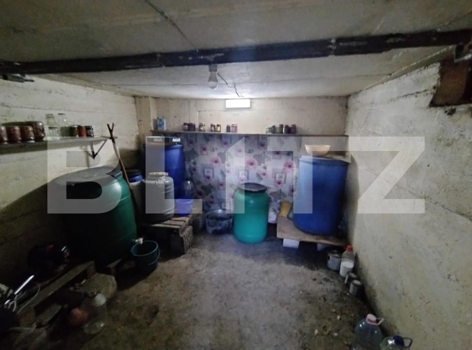 Casa de vânzare 4 camere Podari - 172969CV | BLITZ Craiova | Poza19