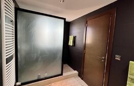 Penthouse de lux, centrala termica, aer conditionat, zona Ciuperca