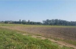 Teren extravilan, 496 mp, 16 m deschidere, Malu Mare