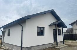 Casa parter, 80 mp, teren 460mp, zona Breasta