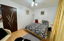 Apartament 2 camere parter, Rovine 