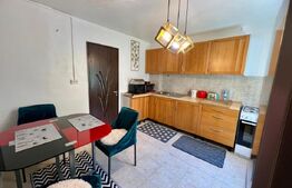 Apartament 2 camere parter, Rovine 