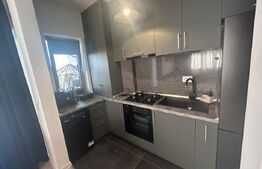 Apartament cu 2 camere, 47 mp, prima inchiriere, bloc nou, zona Brazda lui Novac