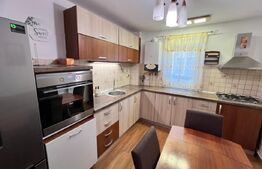 Apartament cu 3 dormitoare, centrala si AC, langa pizza Ibiza