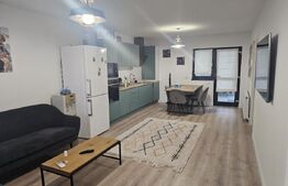 Casa moderna pe parter, 73 mp utili, teren 300 mp in zona Albesti