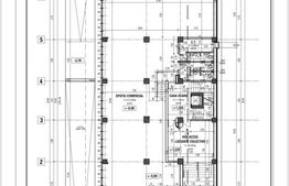 Spatiu comercial, 323 mp, 30 m vitrina, zona Calea Severinului