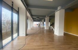 Spatiu comercial, 323 mp, 30 m vitrina, zona Calea Severinului