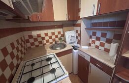 Garsoniera de inchiriat, 32 mp, zona Valea Rosie