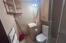 Garsoniera de inchiriat, 32 mp, zona Valea Rosie