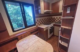 Garsoniera de inchiriat, 32 mp, zona Valea Rosie