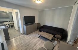 Apartament Modern Valea Rosie , zona piata 
