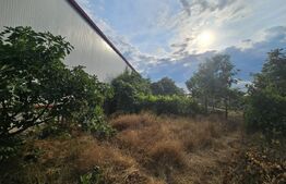 Casa 126 mp utili, teren 800 mp, Malu Mare