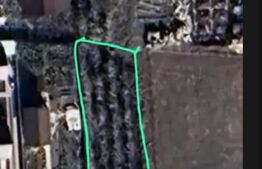 Teren intravilan Carcea , 1100mp , front stradal 21,38