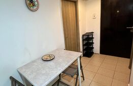Garsoniera de inchiriat, 40 mp cu balcon, zona Rovine