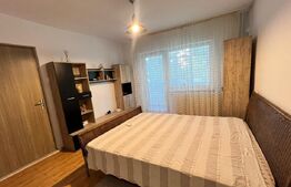 Garsoniera de inchiriat, 40 mp cu balcon, zona Rovine