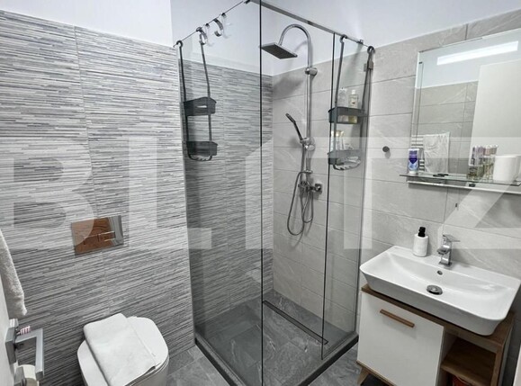 Apartament de închiriat 3 camere Lapus Arges - 173352AI | BLITZ Craiova | Poza11