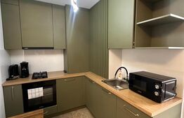 Studio modern, constructie 2024, zona Rovine Parculet