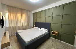 Studio modern, constructie 2024, zona Rovine Parculet