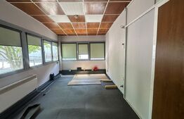 Trei hale industriale + Anexe, zona Breasta