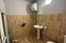 Trei hale industriale + Anexe, zona Breasta