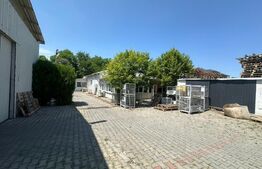 Trei hale industriale + Anexe, zona Breasta