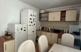Casa cu 5 camere, cartier Magnolia Metro