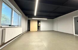 Hală pe parter cu birouri, 676 mp, acces tir, parcare, Bariera Vâlcii