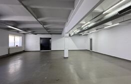 Hală pe parter cu birouri, 676 mp, acces tir, parcare, Bariera Vâlcii
