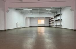 Hală pe parter cu birouri, 676 mp, acces tir, parcare, Bariera Vâlcii