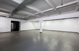 Hală pe parter cu birouri, 676 mp, acces tir, parcare, Bariera Vâlcii