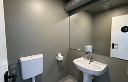 Hală pe parter cu birouri, 676 mp, acces tir, parcare, Bariera Vâlcii