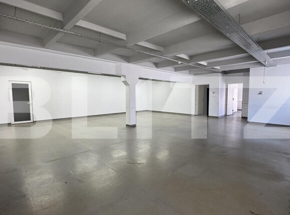 Spațiu industrial de închiriat Bariera Valcii - 173463SII | BLITZ Craiova | Poza6