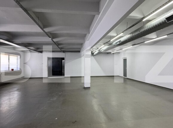 Spațiu industrial de închiriat Bariera Valcii - 173463SII | BLITZ Craiova | Poza4