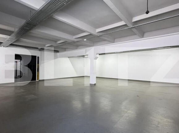 Spațiu industrial de închiriat Bariera Valcii - 173463SII | BLITZ Craiova | Poza5