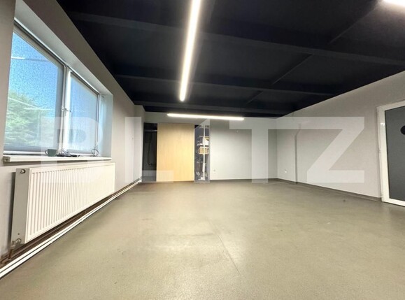 Spațiu industrial de închiriat Bariera Valcii - 173463SII | BLITZ Craiova | Poza9