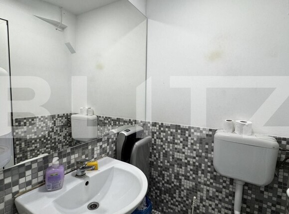 Spațiu industrial de închiriat Bariera Valcii - 173463SII | BLITZ Craiova | Poza11