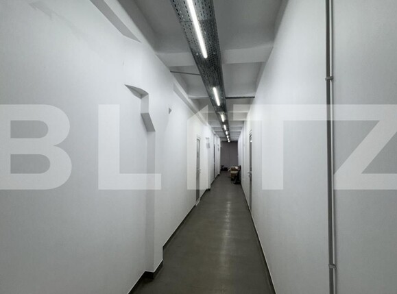 Spațiu industrial de închiriat Bariera Valcii - 173463SII | BLITZ Craiova | Poza8